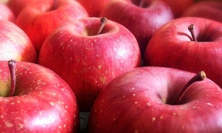 りんごが脳卒中を減少させた青森県